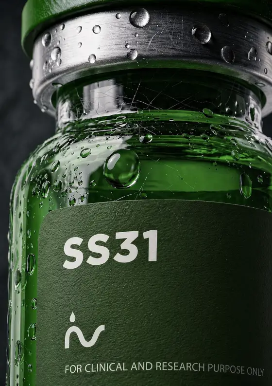 SS31